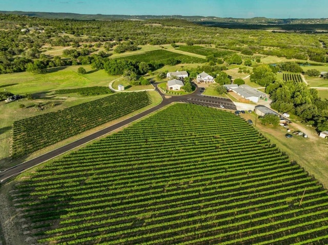 drone / aerial view with a rural view