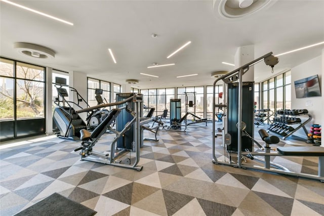 gym with carpet floors and a wall of windows