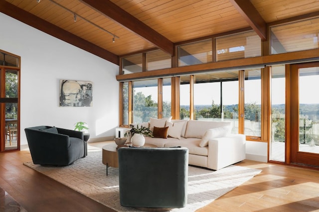 1400 Mount Larson Rd, Austin, TX 78746 - living area featuring wooden ceiling with exposed beams, wood finished floors, high vaulted ceiling, and track lighting