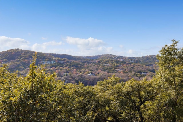 1400 Mount Larson Rd, Austin, TX 78746 - mountain view