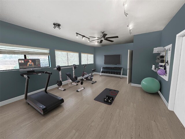 workout room with rail lighting, ceiling fan, baseboards, and wood finished floors