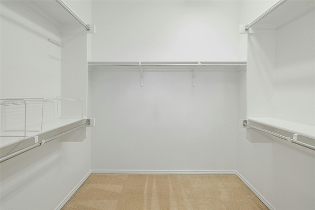 walk in closet featuring light carpet