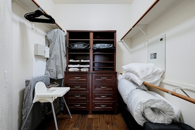 walk in closet featuring dark wood-type flooring