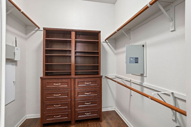 1601 Forest St, Georgetown, TX 78626 - spacious closet featuring dark wood-style floors