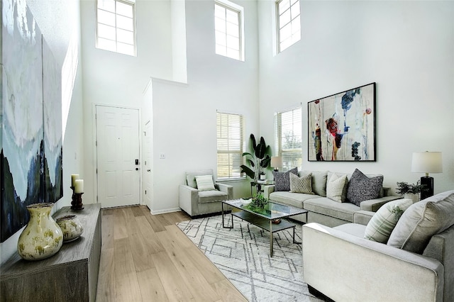 216 Iron Rail Rd, Dripping Springs, TX 78620 - living room with wood finished floors and a towering ceiling