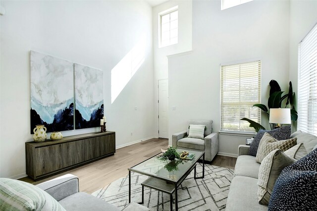 living area featuring baseboards, a high ceiling, and wood finished floors