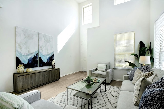 216 Iron Rail Rd, Dripping Springs, TX 78620 - living area featuring wood finished floors and a towering ceiling