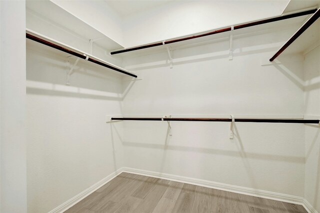 spacious closet featuring light wood-style flooring