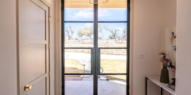 179 Lagrange Dr, Fredericksburg, TX 78624 - doorway to outside with french doors