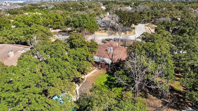 209 Duck Lake Dr, Lakeway, TX 78734 - photo 5