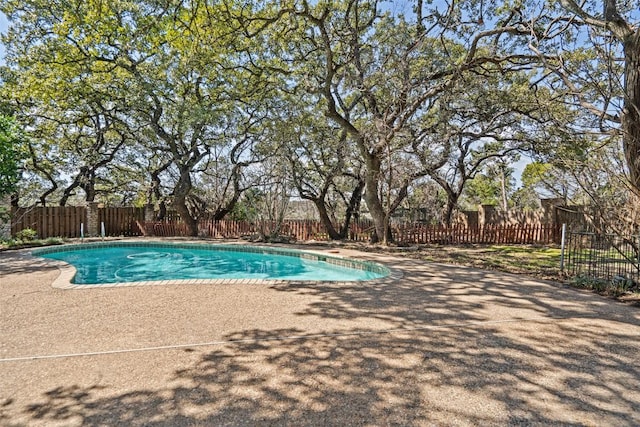 209 Duck Lake Dr, Lakeway, TX 78734 - photo 29