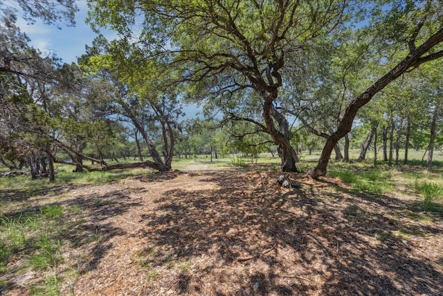 16043 Pool Canyon Rd, Austin, TX 78734