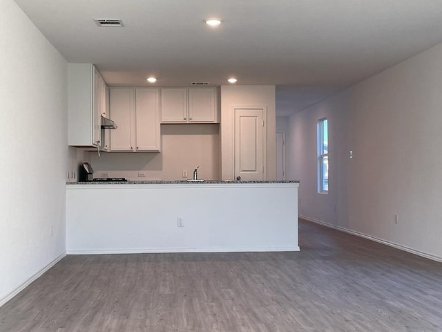 5929 Antonio Pl, Seguin, TX 78155 - kitchen featuring recessed lighting, visible vents, a peninsula, wood finished floors, and under cabinet range hood