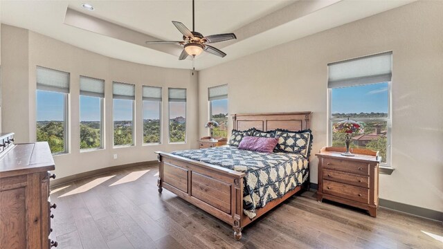 bedroom featuring a tray ceiling, multiple windows, wood finished floors, and baseboards