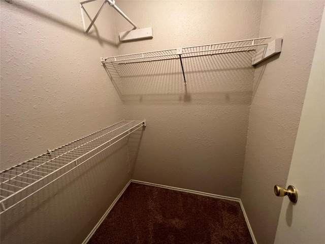 walk in closet with carpet