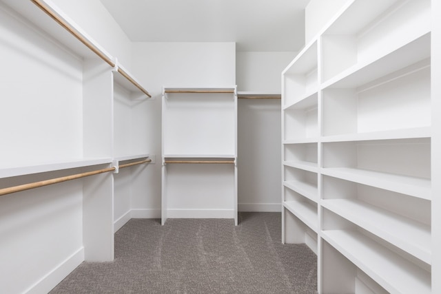 spacious closet featuring carpet floors