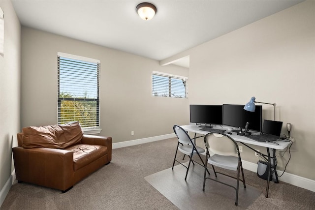 office area featuring carpet flooring and baseboards