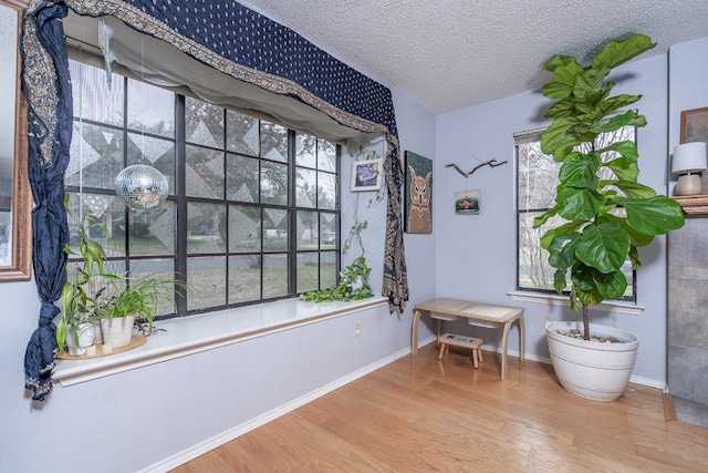 living area featuring plenty of natural light, a textured ceiling, baseboards, and wood finished floors