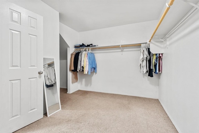 spacious closet with carpet flooring