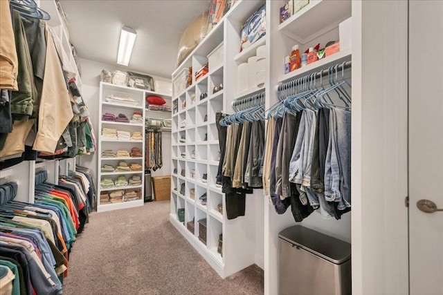 spacious closet featuring carpet floors