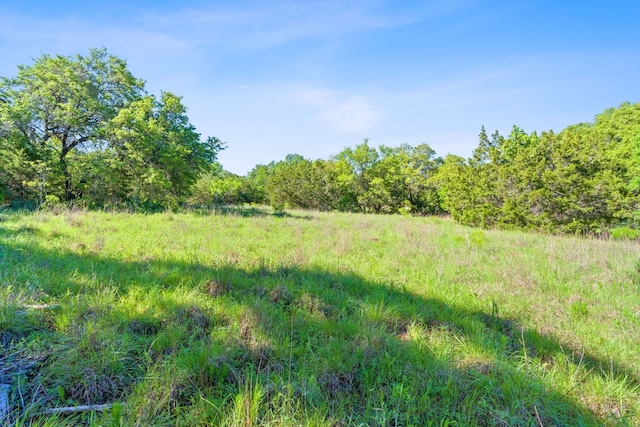 10221 David Moore Dr Unit 1 & 2, Austin, TX 78748 - view of local wilderness