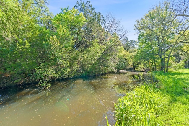 10221 David Moore Dr Unit 1 & 2, Austin, TX 78748 - water view featuring a view of trees