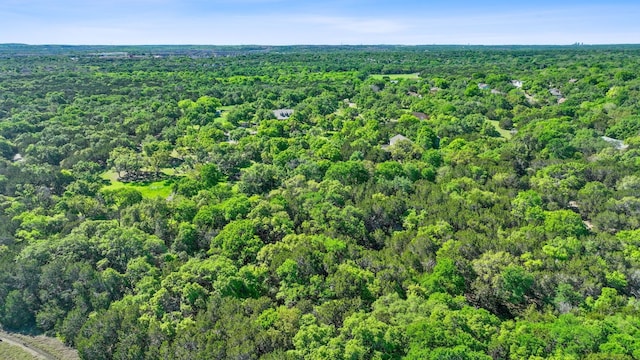 10221 David Moore Dr Unit 1 & 2, Austin, TX 78748 - drone / aerial view featuring a view of trees