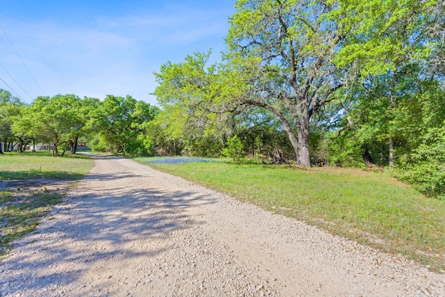 10221 David Moore Dr Unit 1 & 2, Austin, TX 78748 - view of street