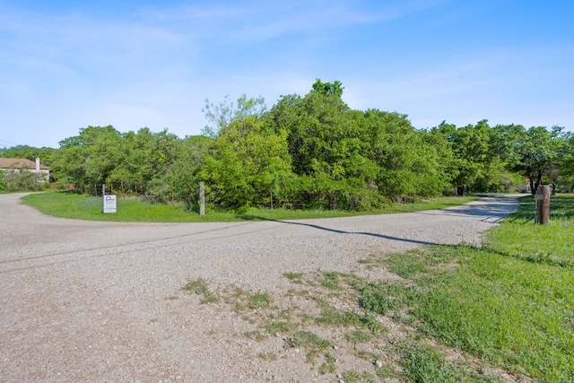 10221 David Moore Dr Unit 1 & 2, Austin, TX 78748 - view of road