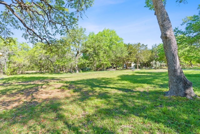 10221 David Moore Dr Unit 1 & 2, Austin, TX 78748 - view of green lawn