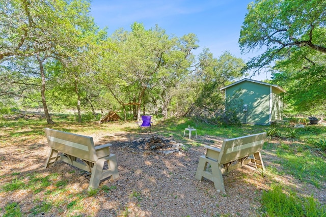 10221 David Moore Dr Unit 1 & 2, Austin, TX 78748 - view of yard