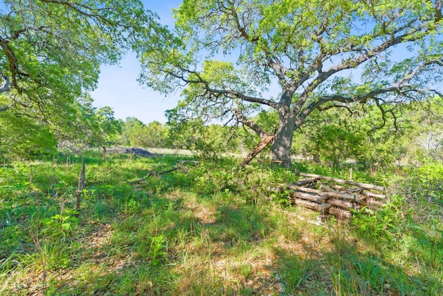 10221 David Moore Dr Unit 1 & 2, Austin, TX 78748 - view of yard