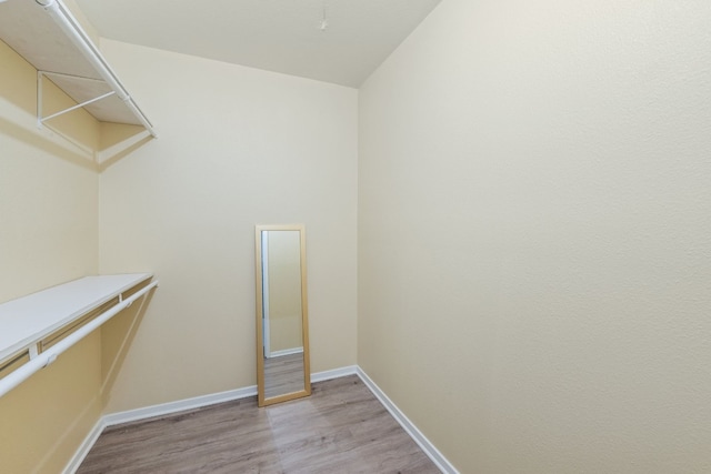 spacious closet featuring light wood-style flooring