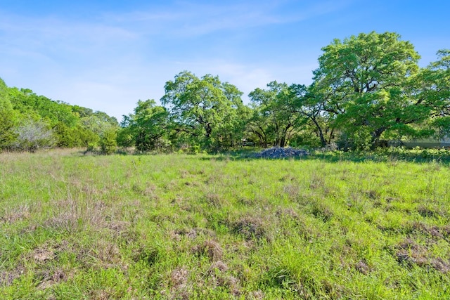 view of local wilderness