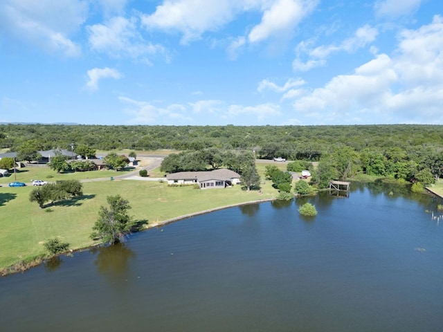 208 Iris Ln, Buchanan Dam, TX 78609 - photo 29