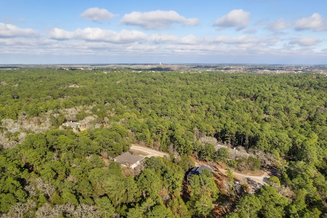 LOT342 Wainee Dr, Bastrop TX, 78602 land for sale