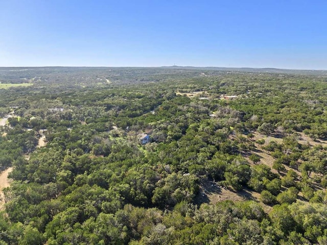 700 Todo Ln, Driftwood, TX 78619 - photo 24