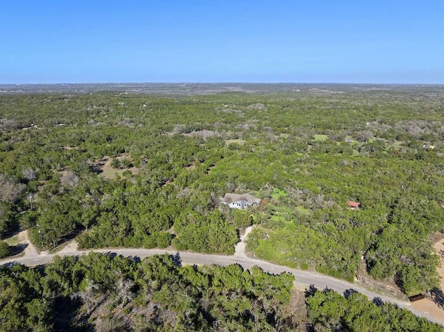 700 Todo Ln, Driftwood, TX 78619 - photo 25
