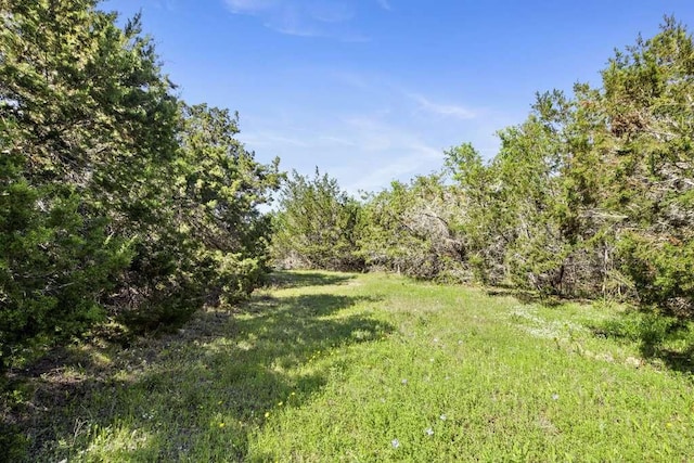 700 Todo Ln, Driftwood, TX 78619 - photo 33