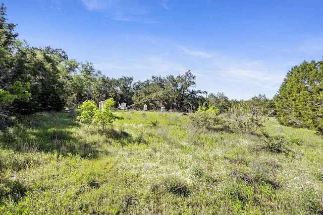 700 Todo Ln, Driftwood, TX 78619 - photo 35