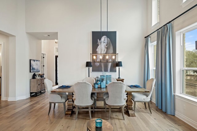 1000 Flint Ridge Trl, Georgetown, TX 78628 - dining room with a high ceiling, wood finished floors, and baseboards