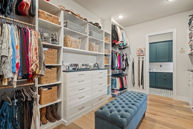 1000 Flint Ridge Trl, Georgetown, TX 78628 - walk in closet with light wood-type flooring