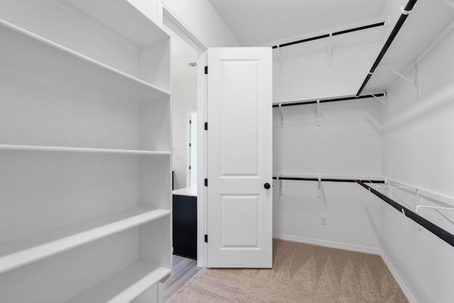 1832 Camay St, Leander, TX 78641 - walk in closet with light carpet