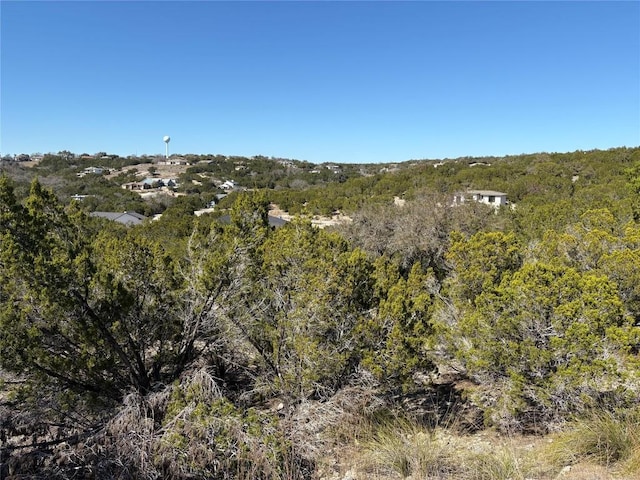 3304 Constitution Dr, Lago Vista, TX 78645 - photo 3