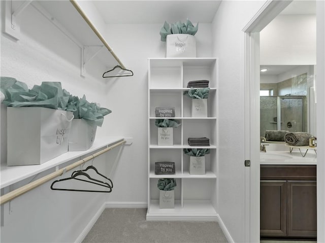 205 Bluff Creek Ln, Georgetown, TX 78628 - walk in closet featuring carpet flooring and a sink