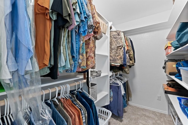 spacious closet featuring carpet