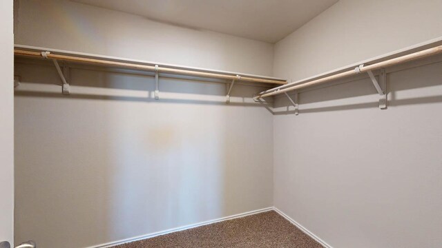 walk in closet featuring carpet floors