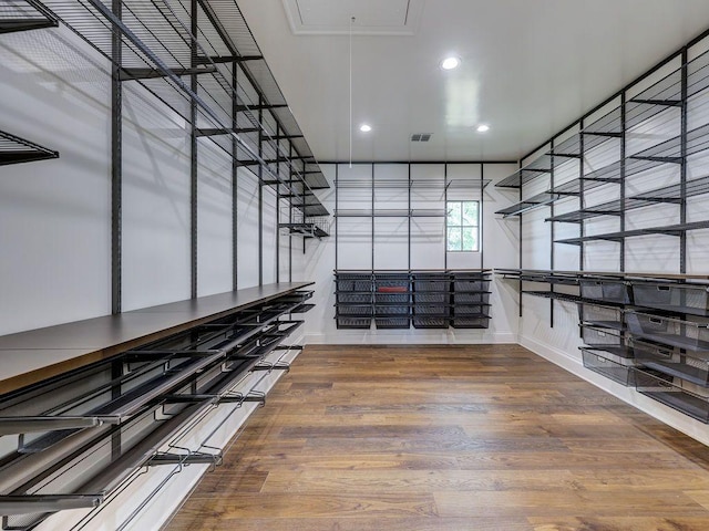 interior space with visible vents and attic access