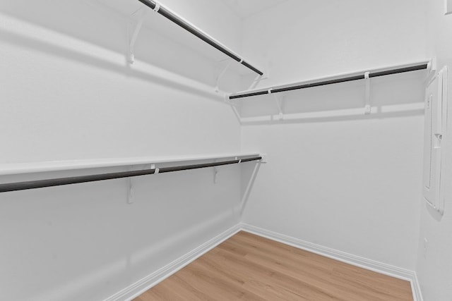 walk in closet with light wood-style floors