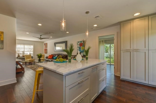 1110 W Oltorf St, Austin, TX 78704 - kitchen featuring healthy amount of natural light, a ceiling fan, dark wood-type flooring, recessed lighting, and a kitchen island